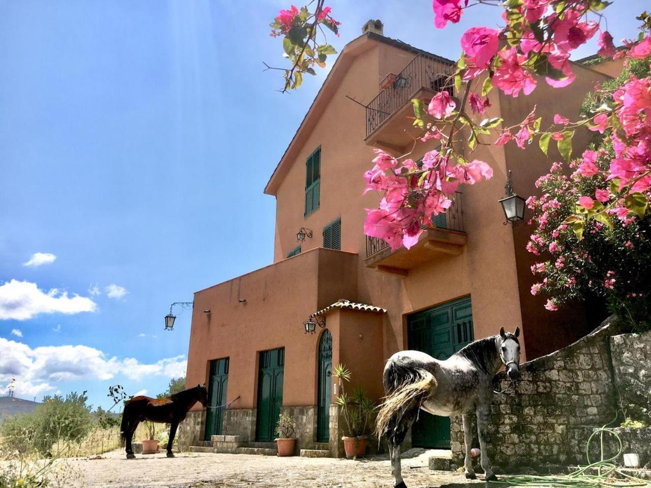 Country Room Sicily - Agrigentoholidays Exterior foto